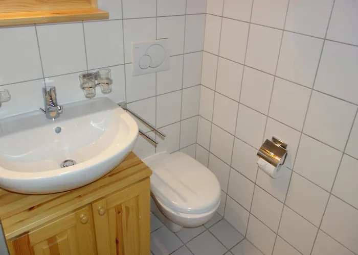 Apartament Pleasant With Sauna Nendaz